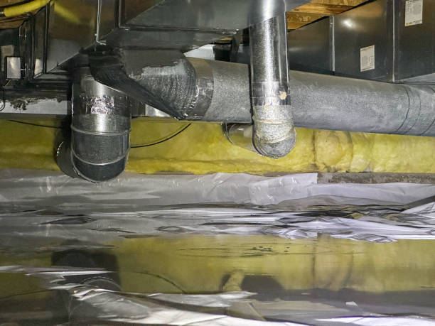Best 24-hour water damage restoration  in Palm Springs, FL